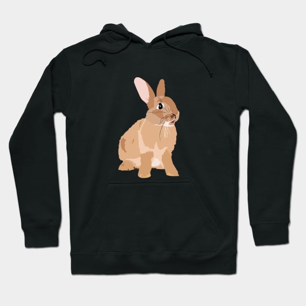 Brown Rabbit Hoodie by NorseTech